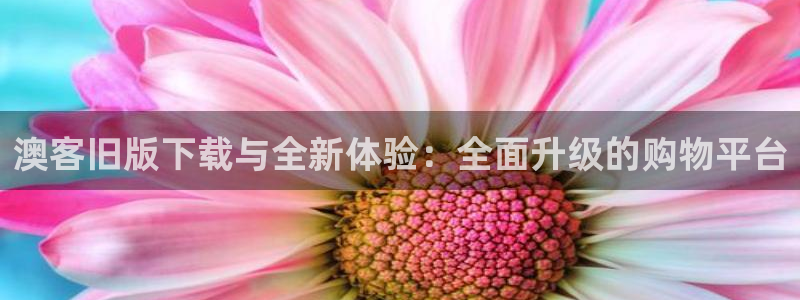 28圈体育代理申请流程