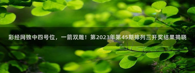 28圈quan28.cc：彩经网独中四号位，一箭双雕！第2023年第45期排列三