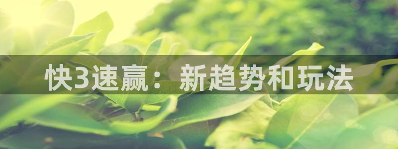 28圈平台官网版最新：快3速赢：新趋势和玩法