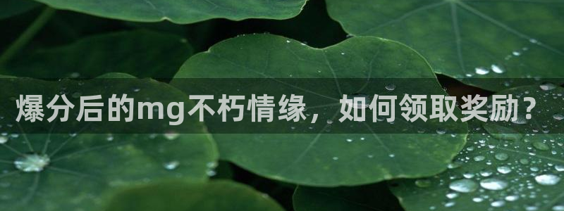 28圈3注册：爆分后的mg不朽情缘，如何领取奖励？
