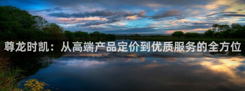 28圈官网版下载：尊龙时凯：从高端产品定价到优质服务的全方位