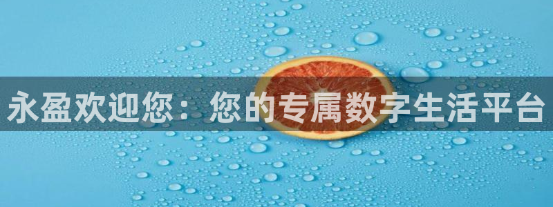 28圈2平台：永盈欢迎您：您的专属数字生活平台